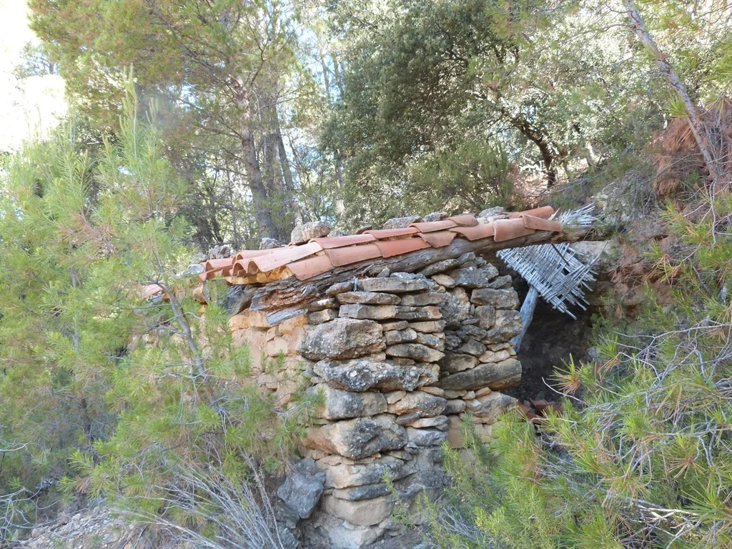 Rural 3.1-hectare truffle finca