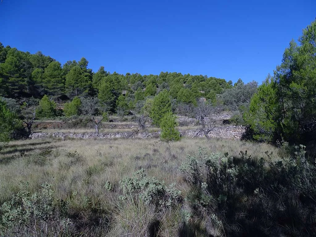 Eight-hectare rural finca with caves
