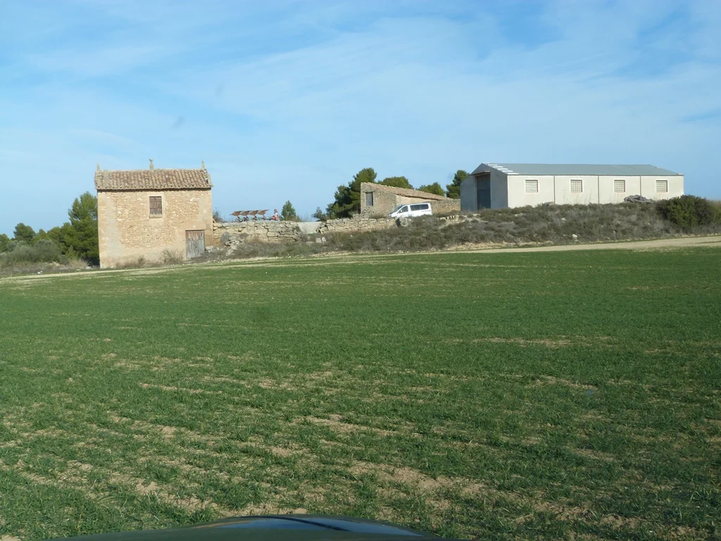Gran finca olivarera cerca de Torre del Compte