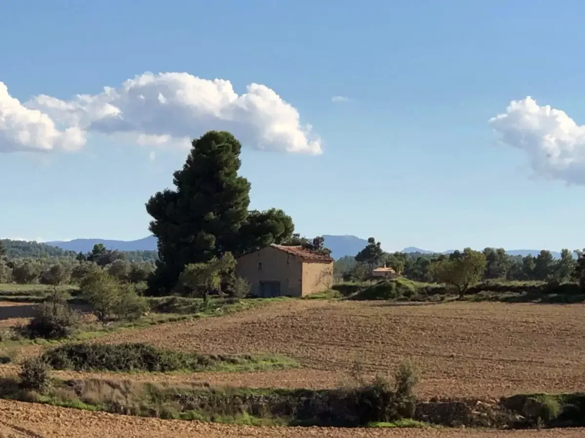 Finca rústica con masico de 80 m²