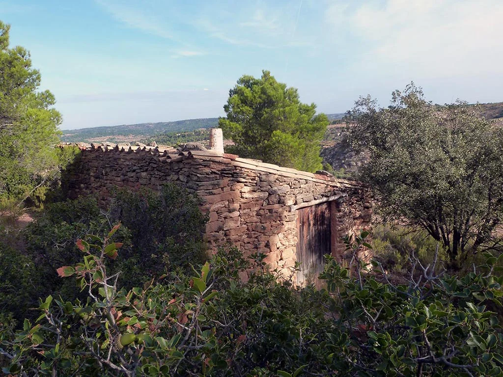 Mazaleón rural land with productive olives