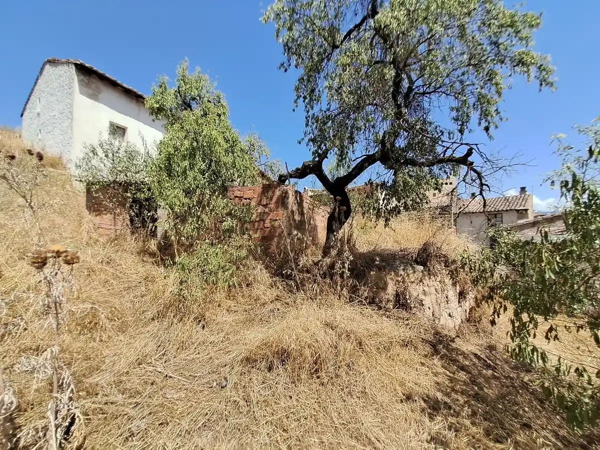 Urban corral with private outdoor land
