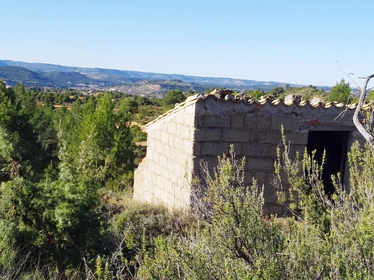 3.8-Hectare rural finca with open views