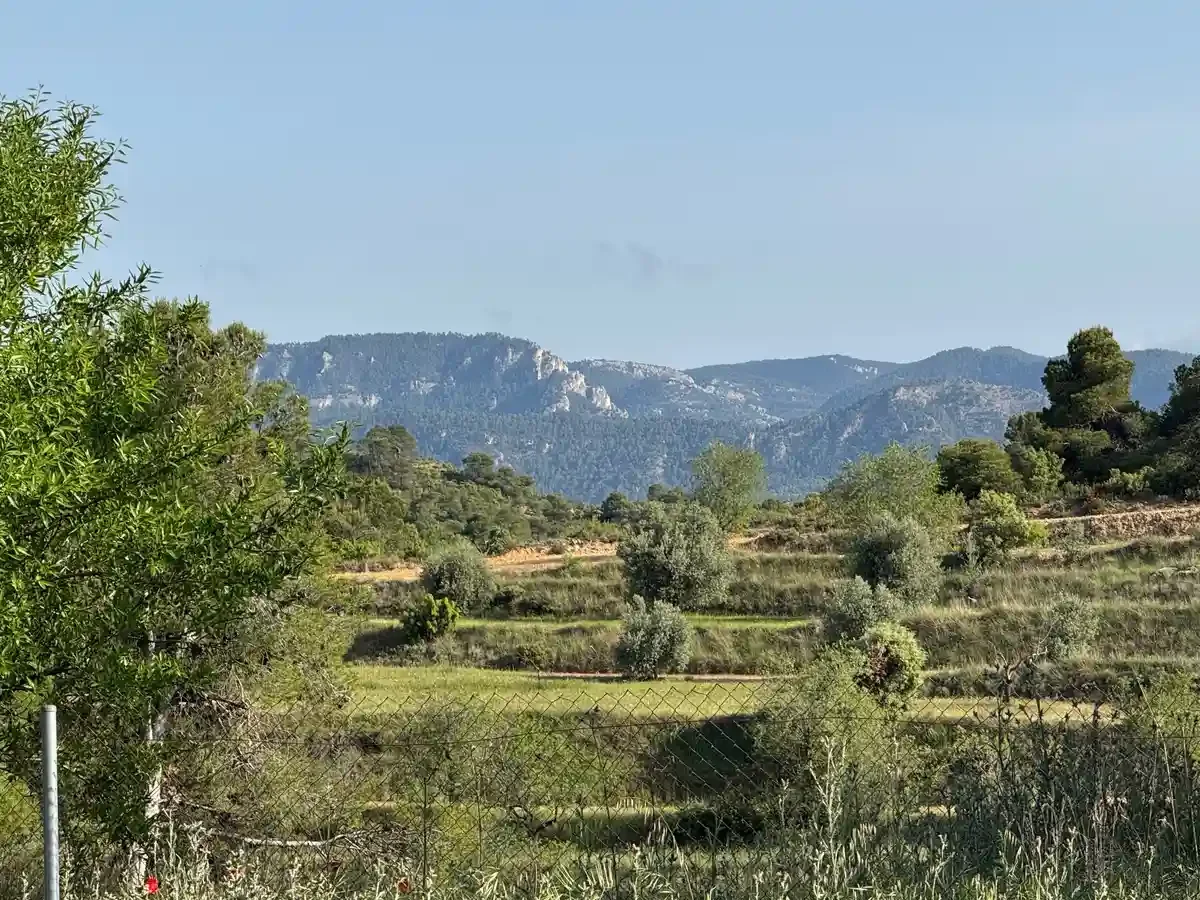 Rural estate with 420 m² warehouse