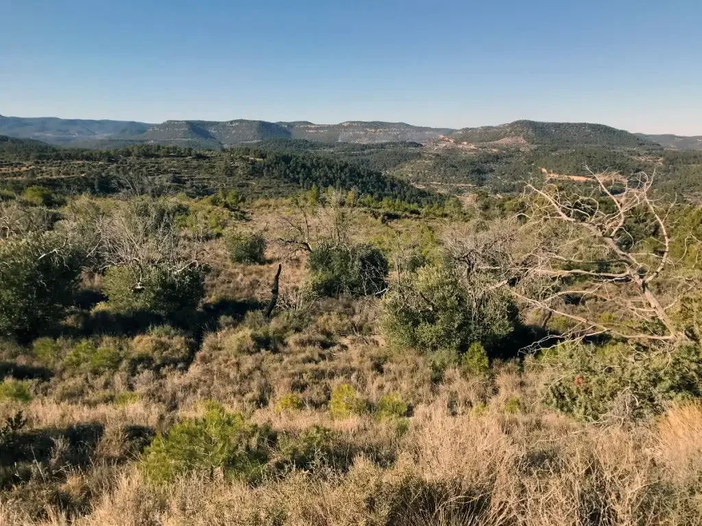 Rural Valderrobres plot with mountain views