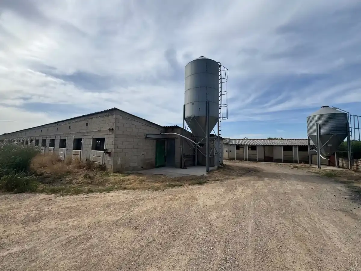Licensed pig farm with expansion capacity