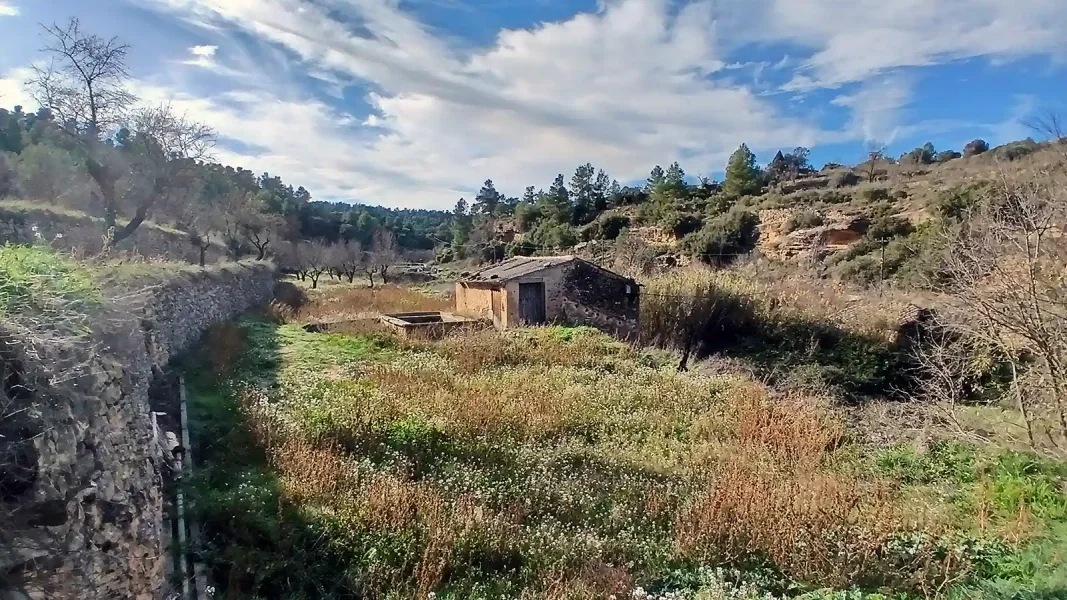 Finca rústica de almendros con pozos