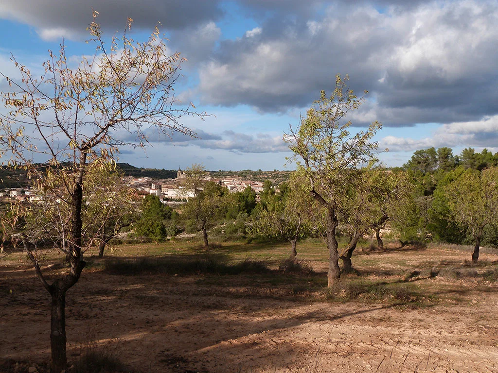 Parcela rústica de 18.600 m² cerca de Valjunquera