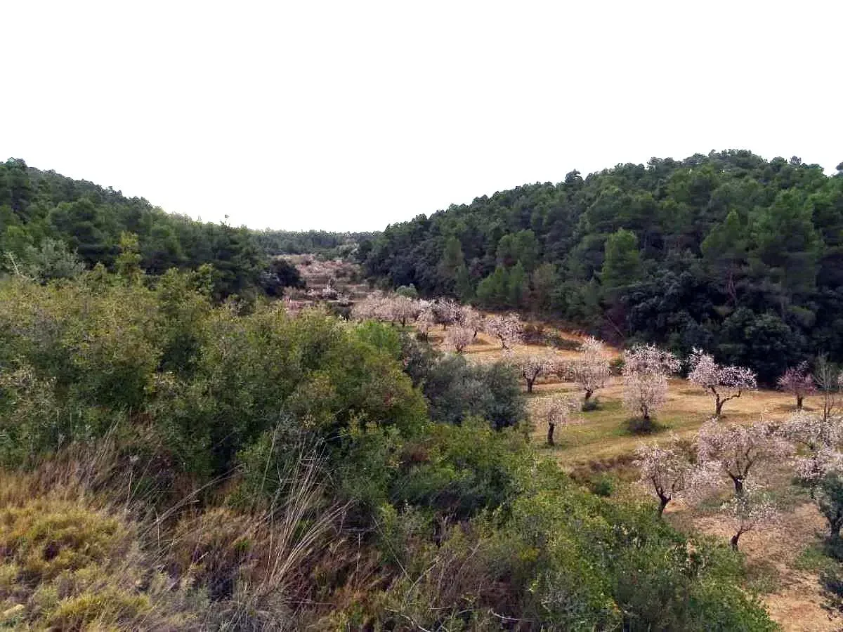 Finca rural de 21 hectáreas con masía de piedra