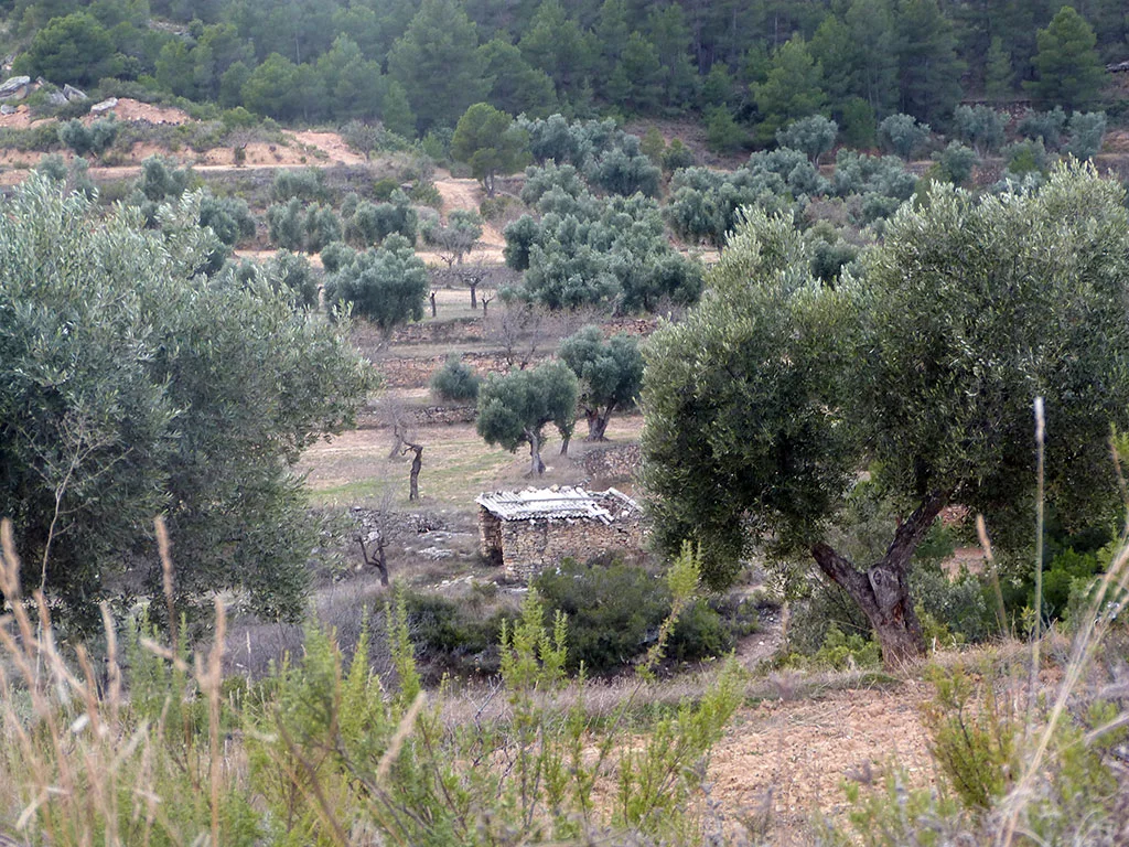 Finca productiva de 7 hectáreas
