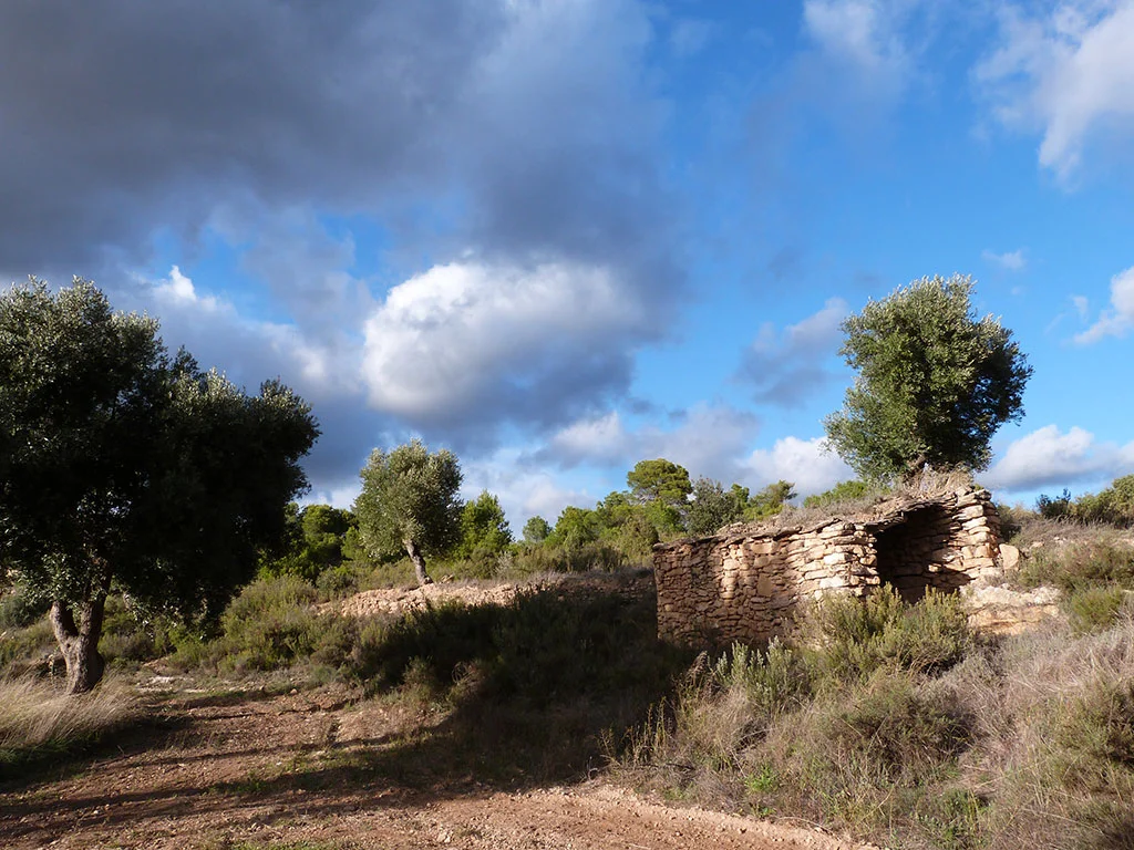 Finca rústica cerca de Valjunquera con cultivos