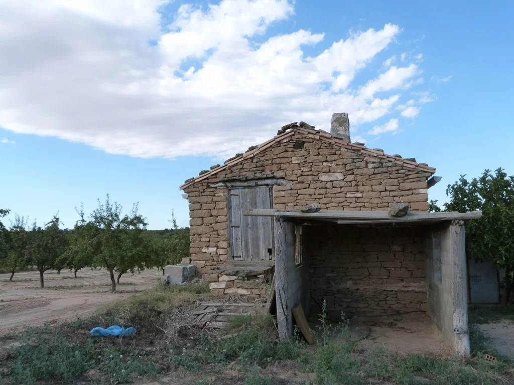 Finca de 3 hectáreas con olivos y almendros