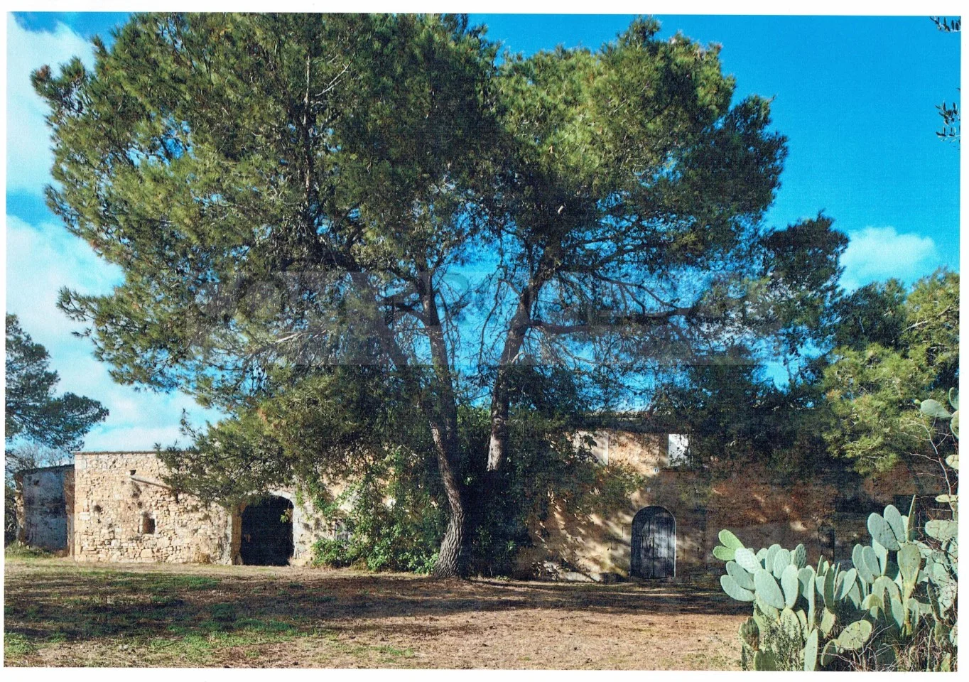 Rural estate with four-home project potential