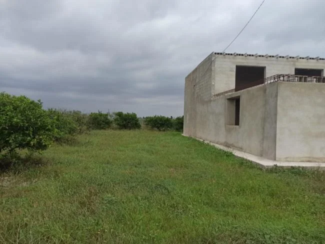 Large fenced finca with renovation upside