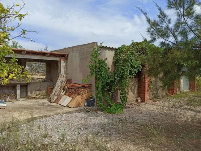 Rural plot with caseta and olives