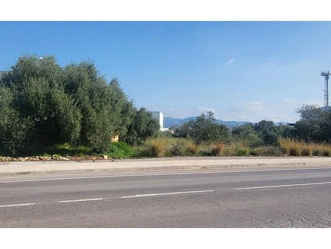 Industrial plot in Torreta, 3,901 m²