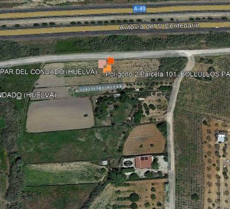 Rural vineyard plot near Bollullos