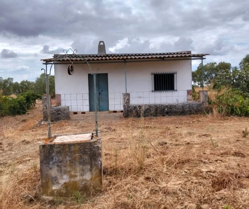 Rustic agricultural finca with productive vineyards