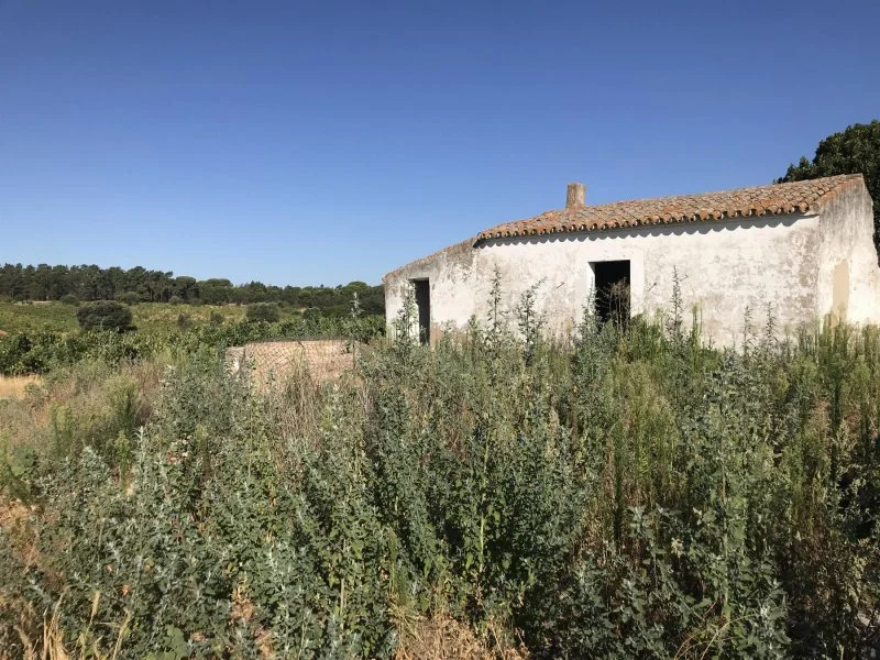 Rural finca with 40,196 m²