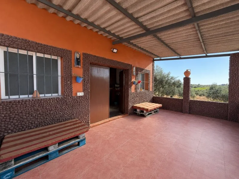 Rustic country house with olive grove