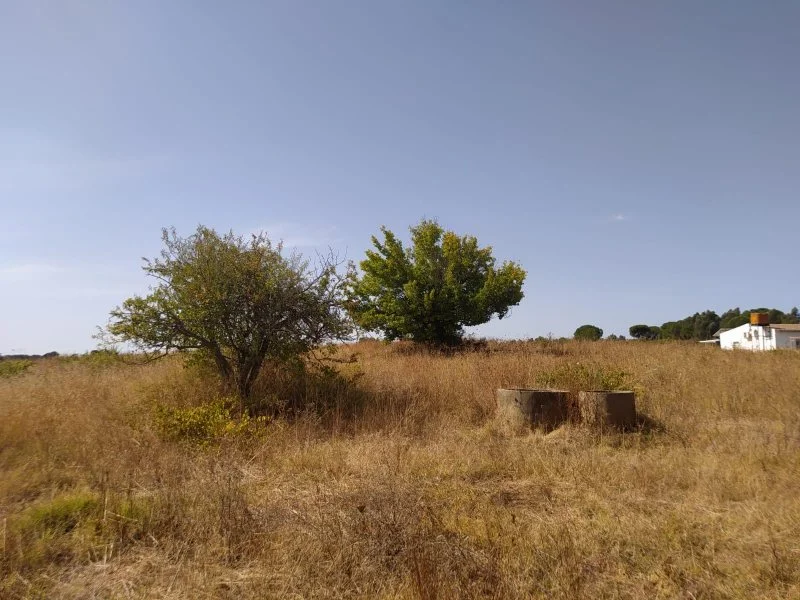 Rural plot near Villarrasa, 19,715 m²