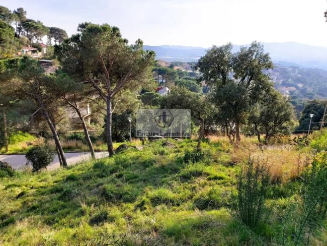 Terreno en Mas Mora de 500 m²