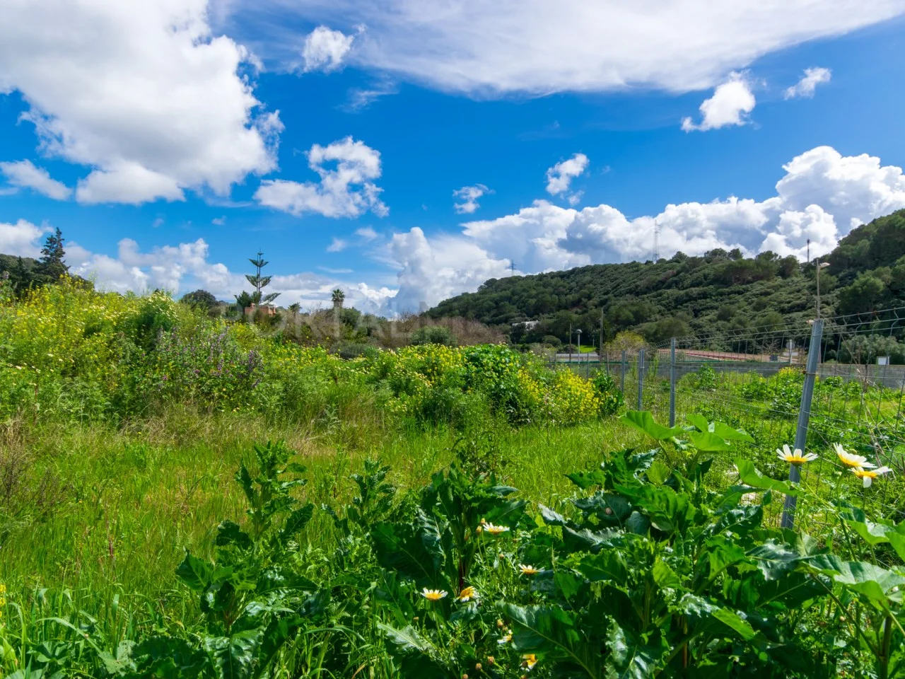 Buildable Ferreries plot, 210 m²