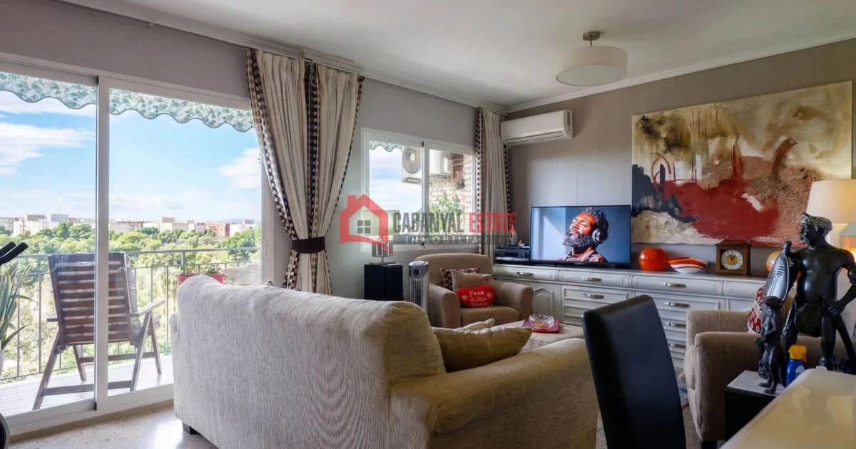 Spacious Patraix flat with park views