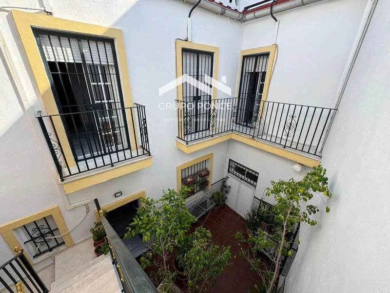 Finca céntrica en Jerez con siete dormitorios