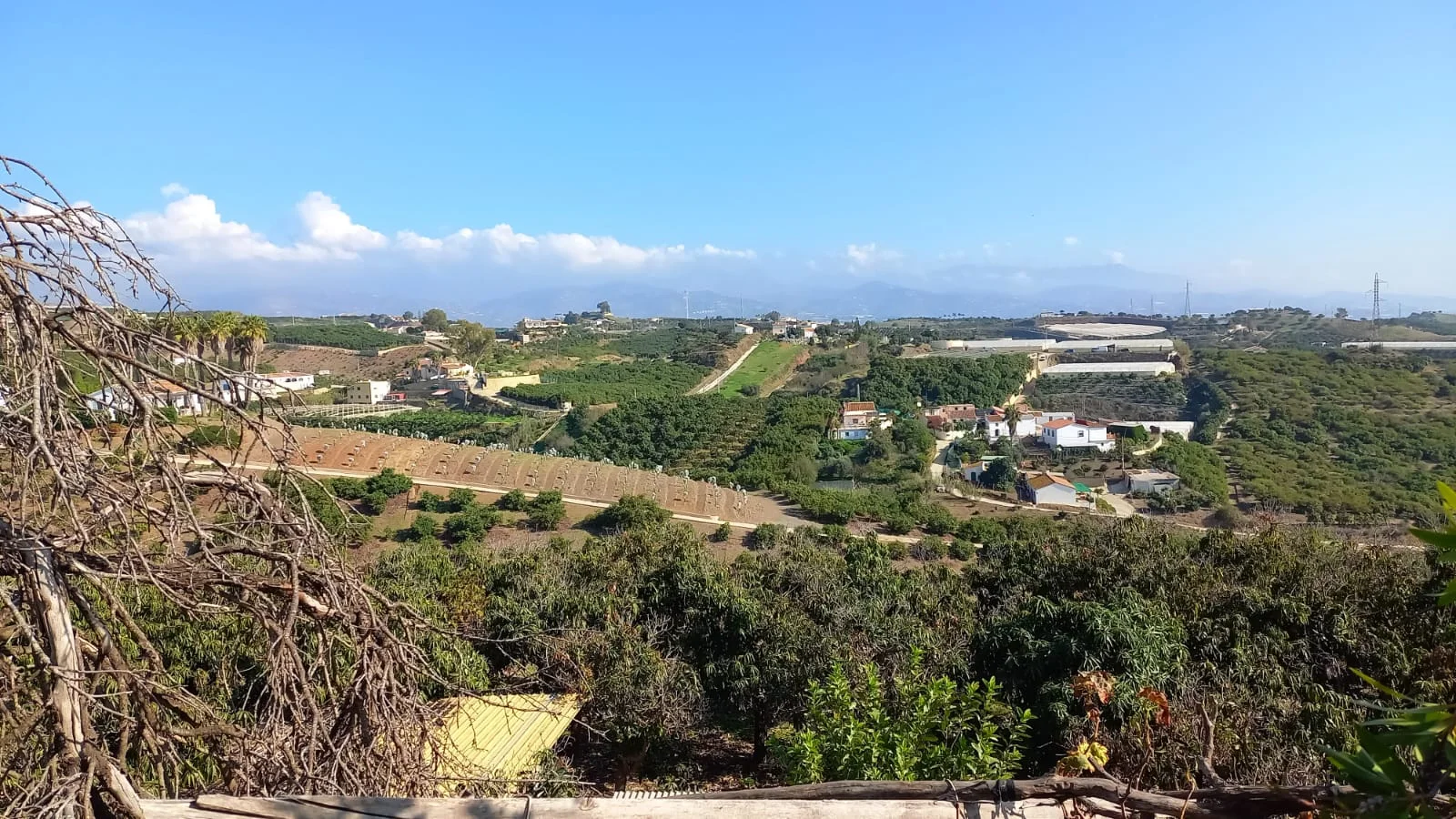 Almayate finca with sea views