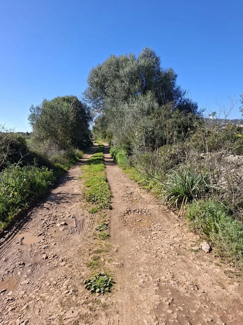 Terreno rústico en Santa Eugenia, 3.700 m²