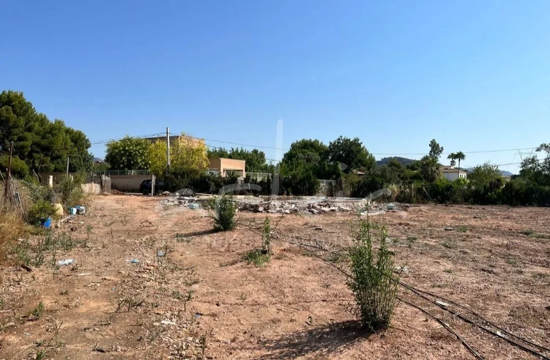 Urban plot in Bonanza, 1,447 m²