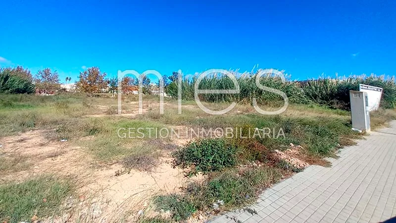 Industrial plot in Sollana, 1,504 m²