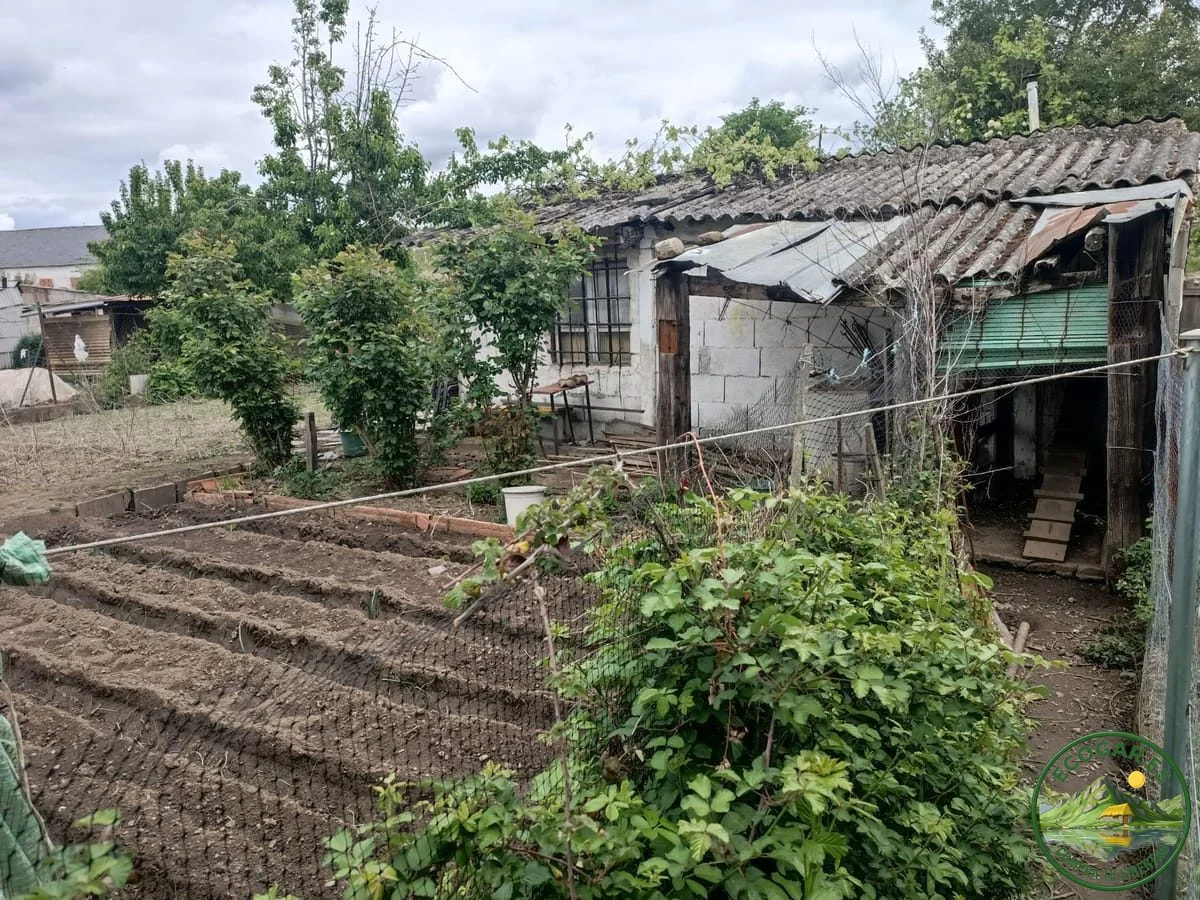Rustic house on 1,000 m² plot