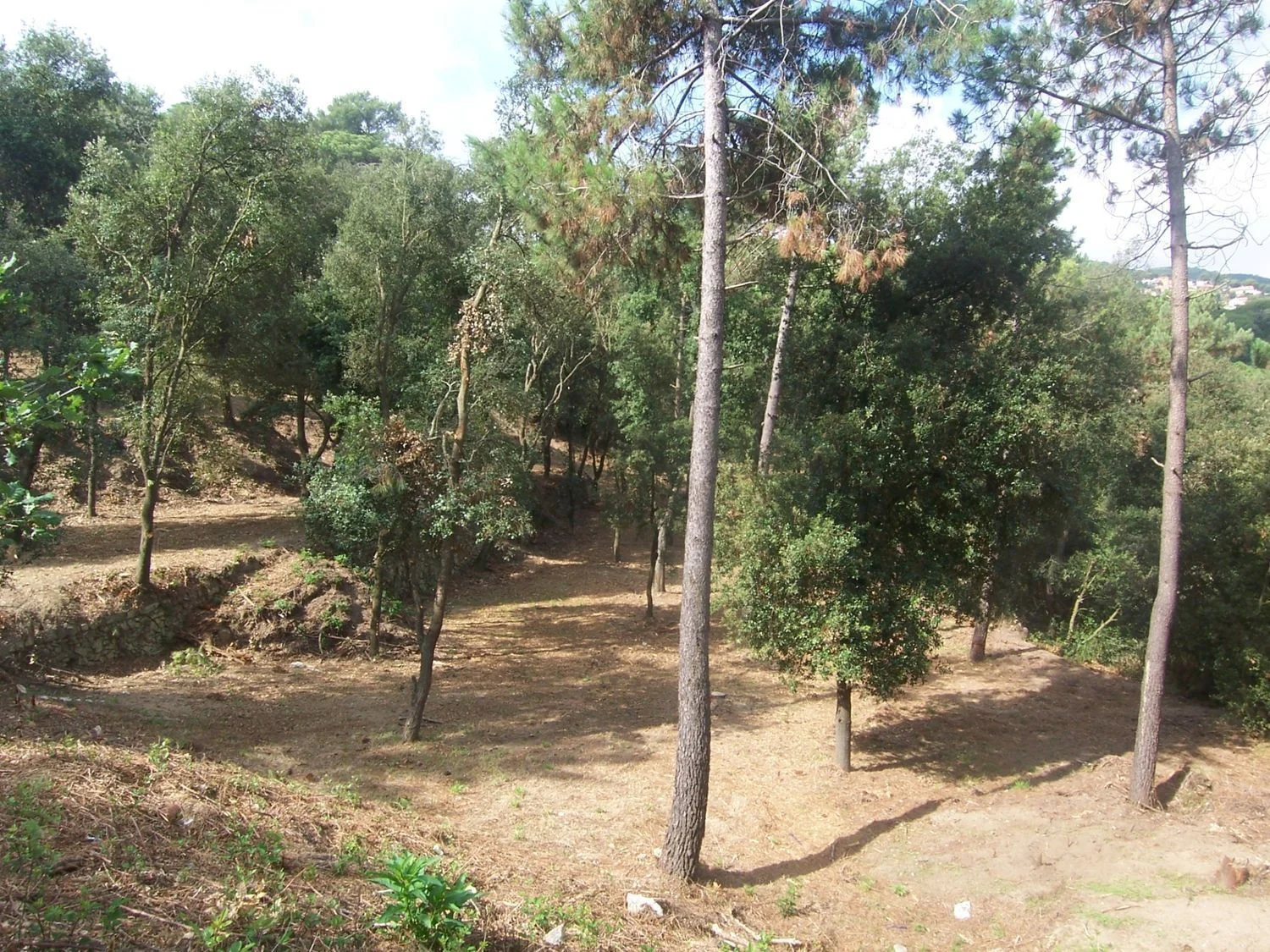 Urban development plot with 1366 m² buildable