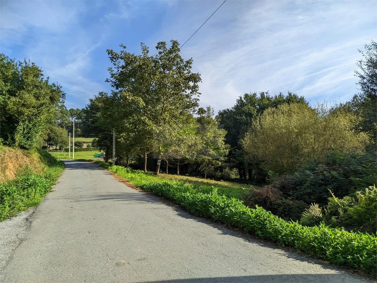 Finca no edificable en Carral, 1.165 m²