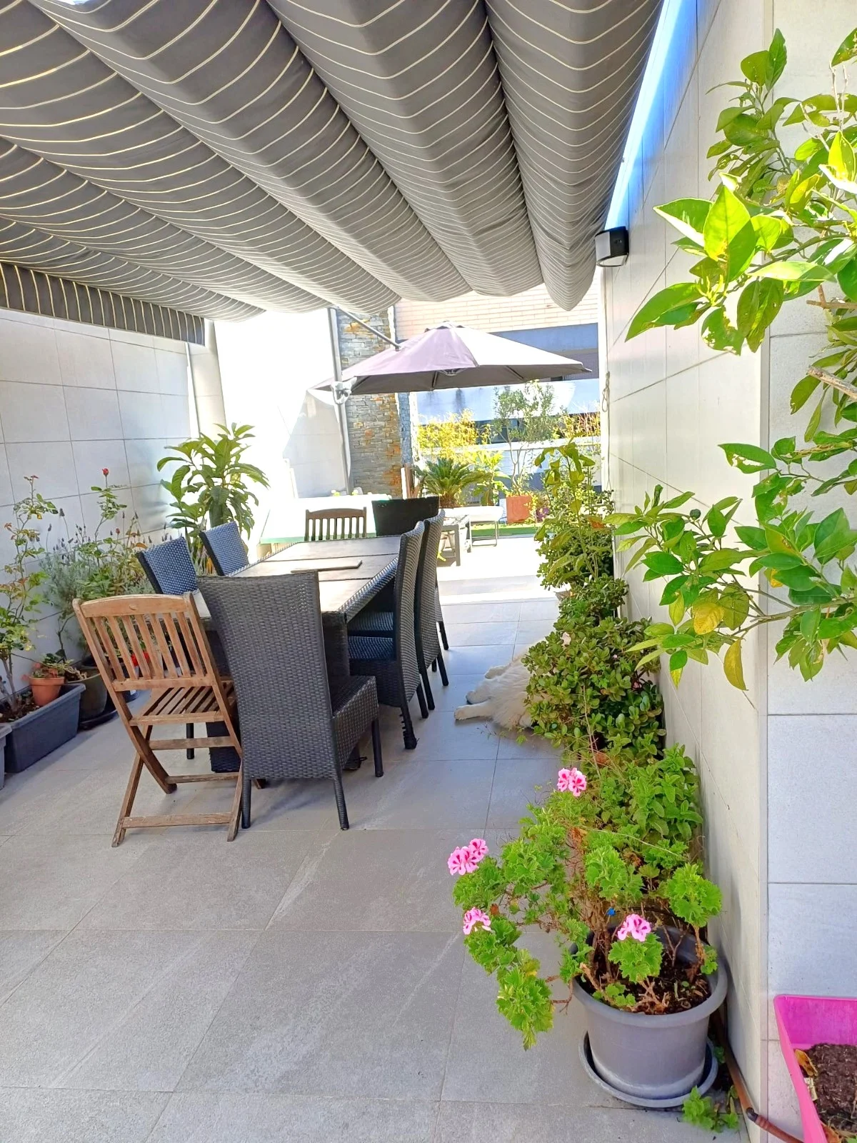 Duplex penthouse with four bedrooms