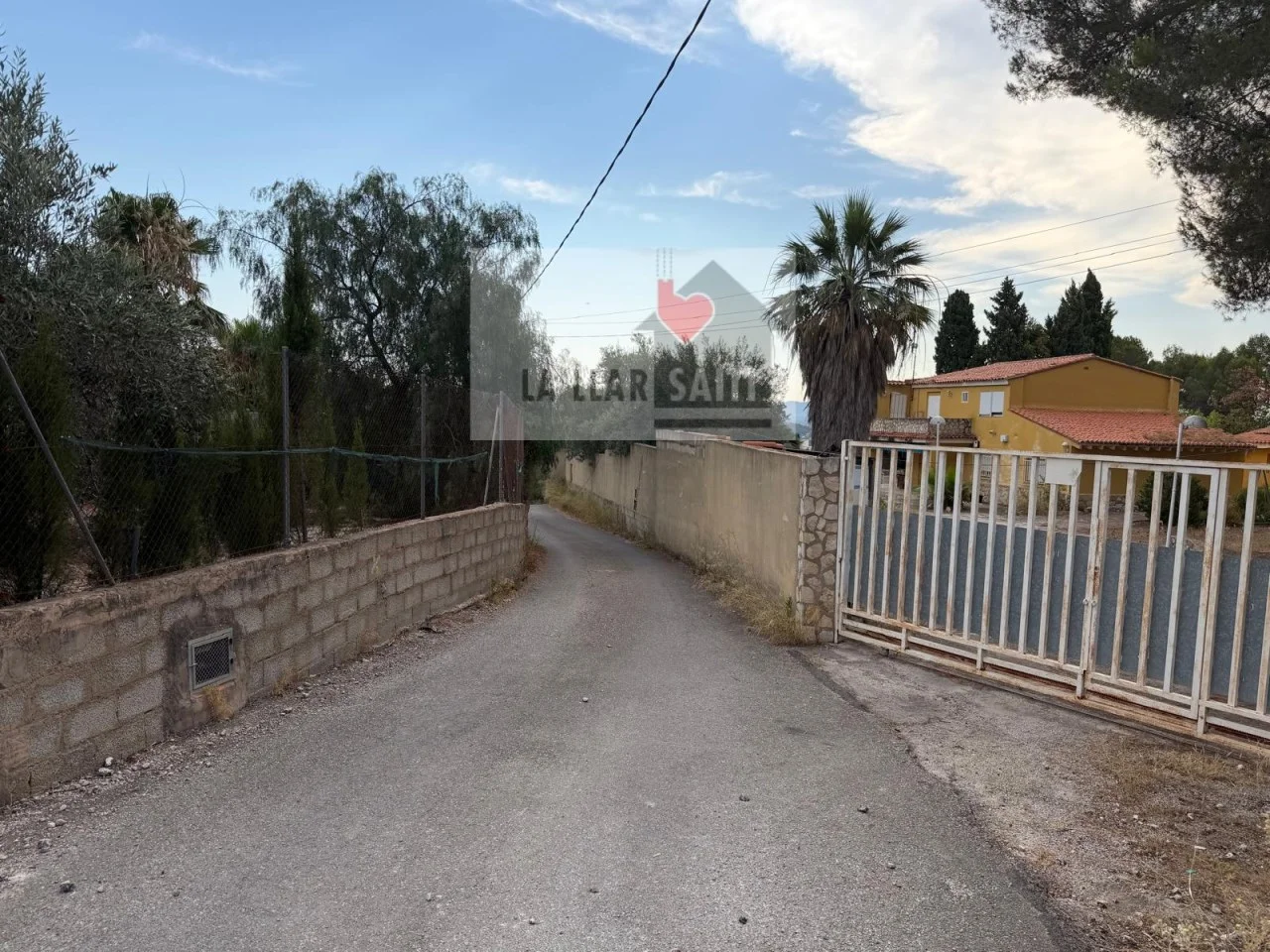 Bixquert buildable plot, mature olive grove