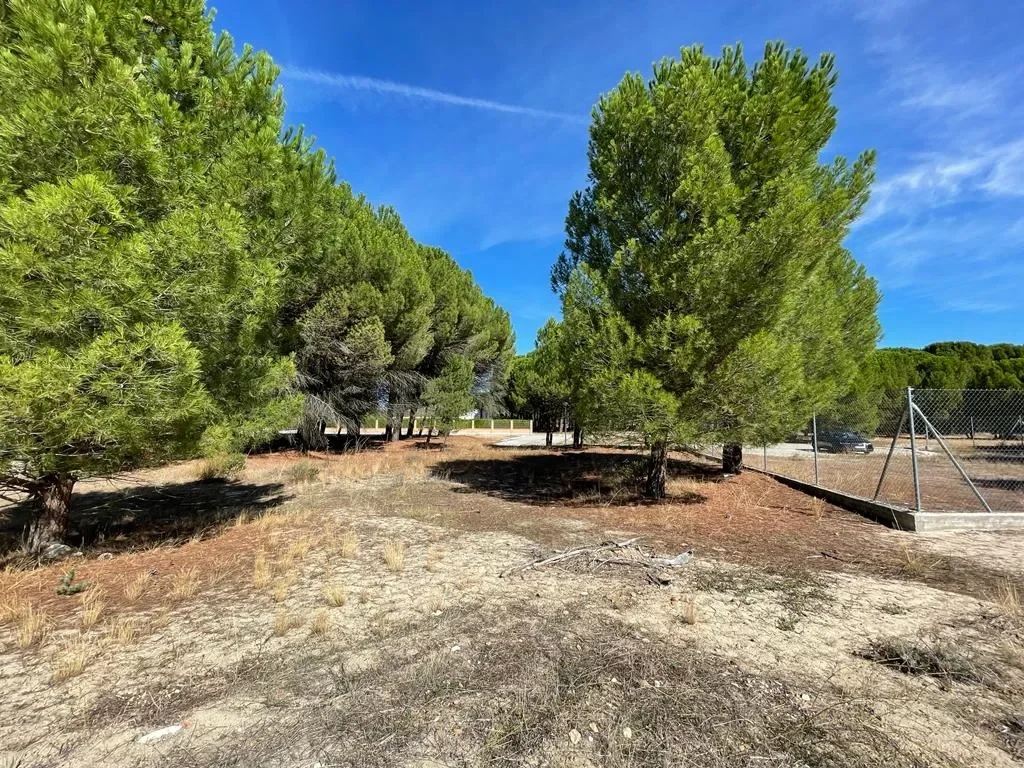 Solar urbano en Traspinedo, 402 m²