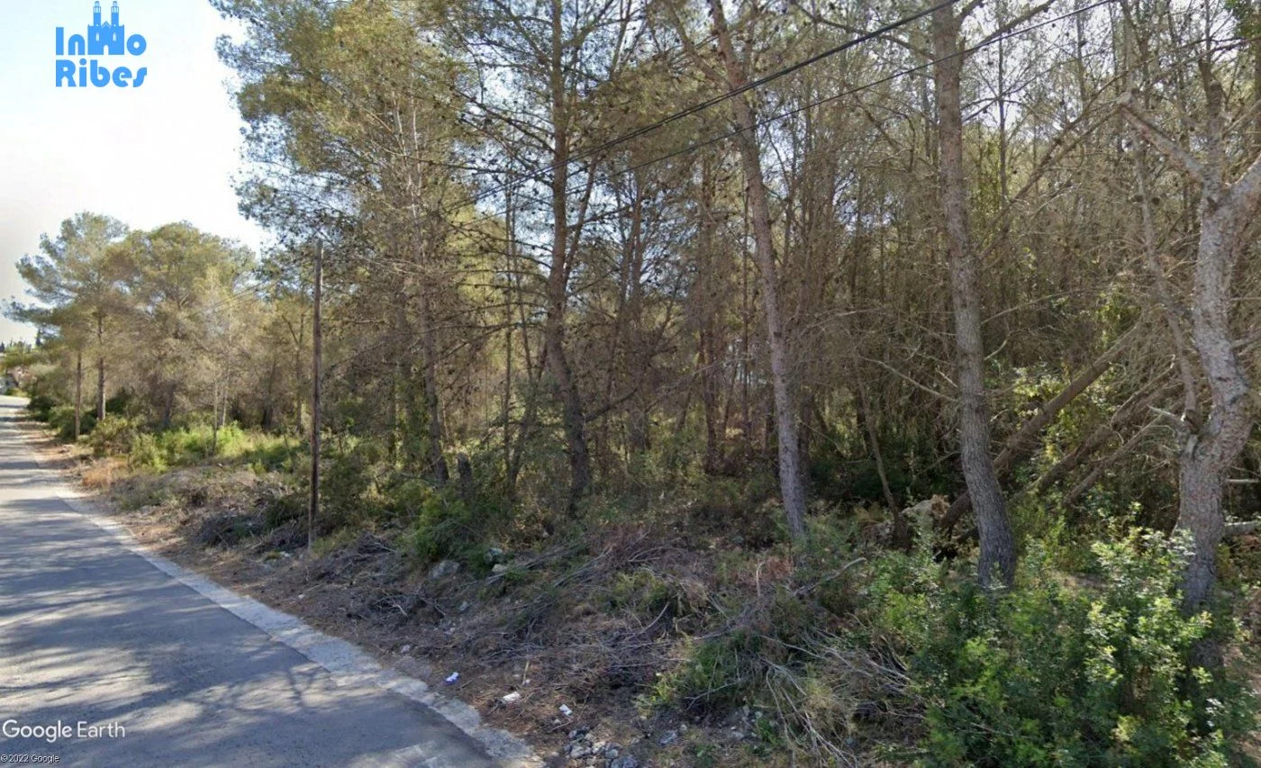 Parcela rural de 1.513 m² cerca de Ribes