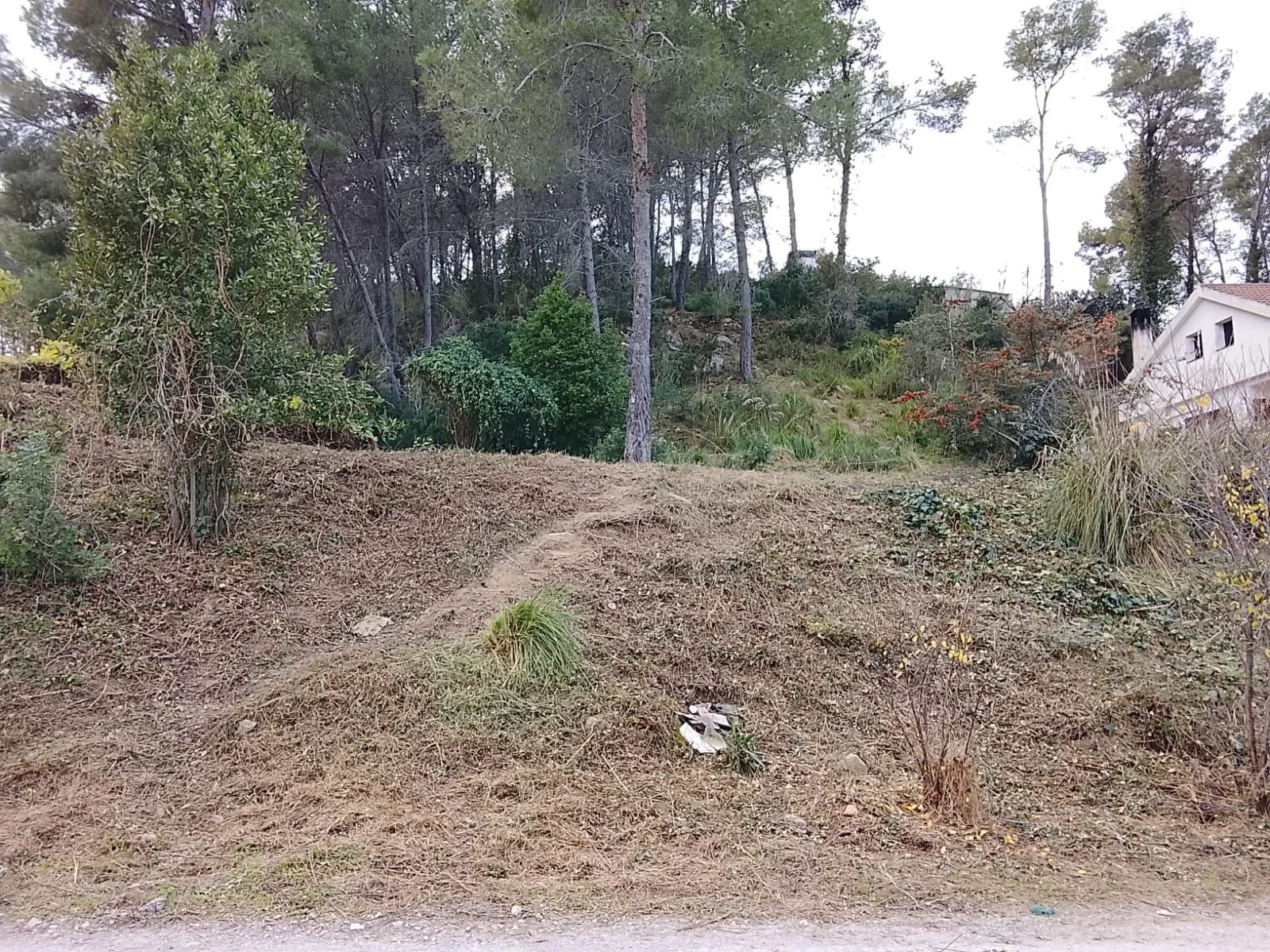 Terreno rústico en Vinyals, 1.470 m²