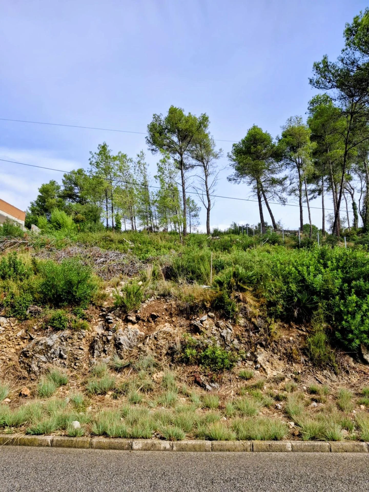 Terreno urbano en Olivella de 1.467 m²