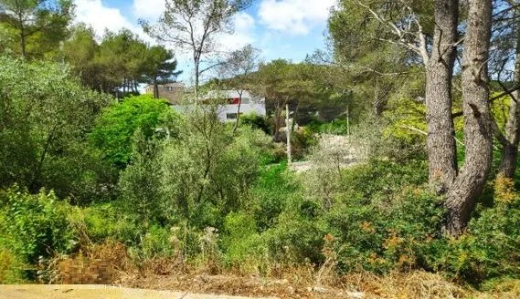 Parcela urbana de 952 m² en Mas Mestre