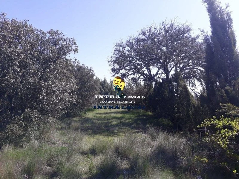 Finca urbanizable cerca de Ciudad Rodrigo
