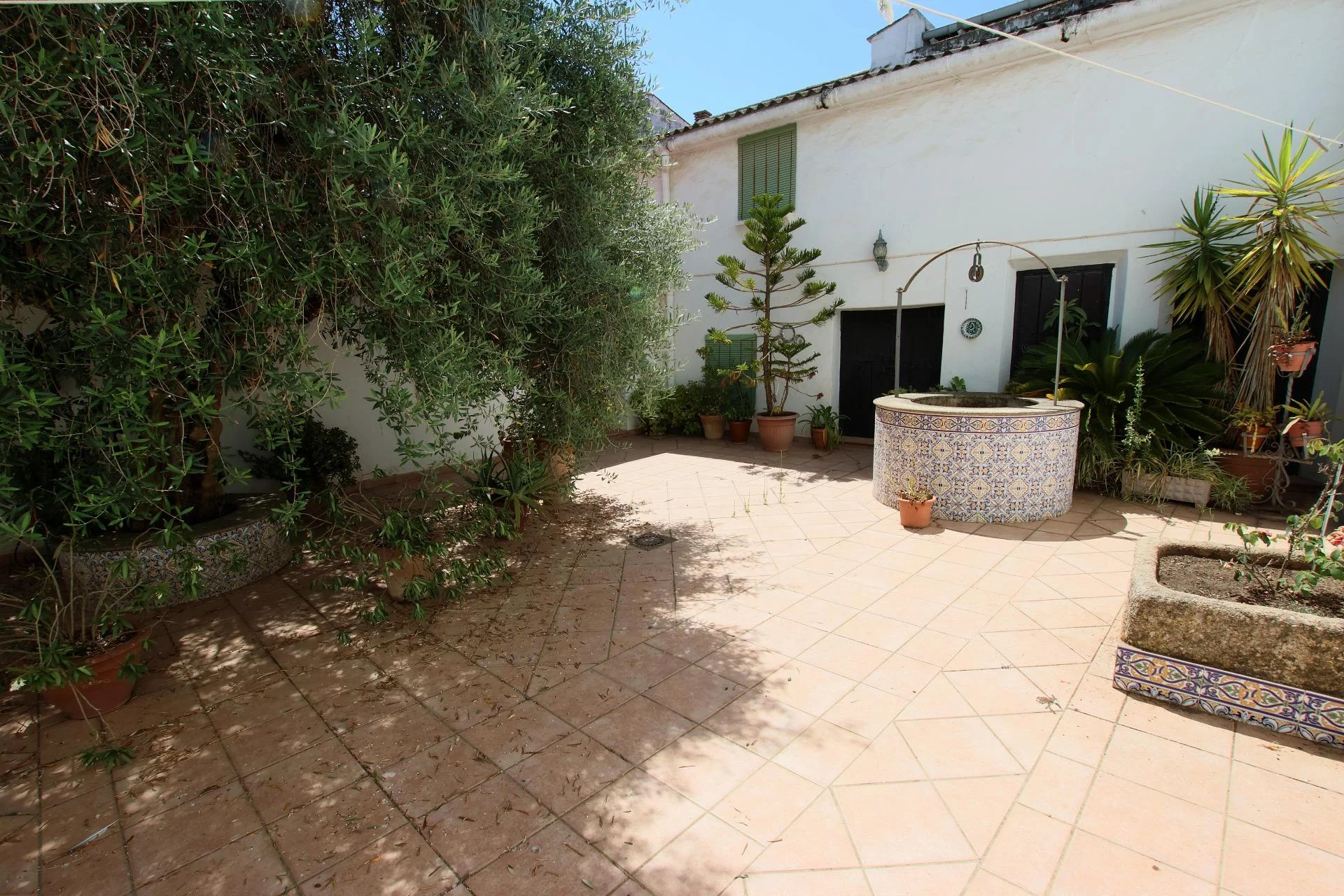 Renovation house with 205 m² patio