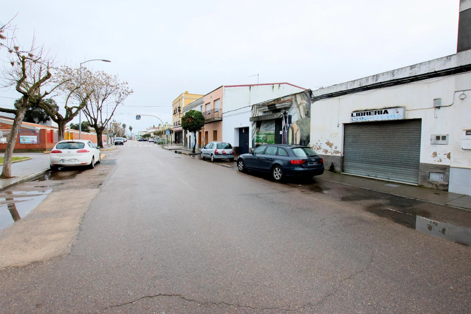 Commercial premises with 169 m² plot