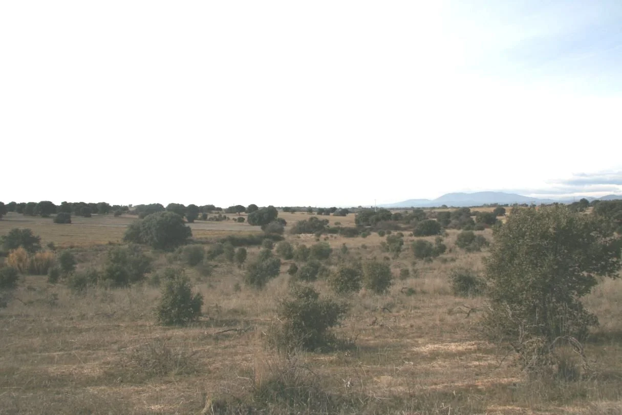 Rural agricultural land in Escalona