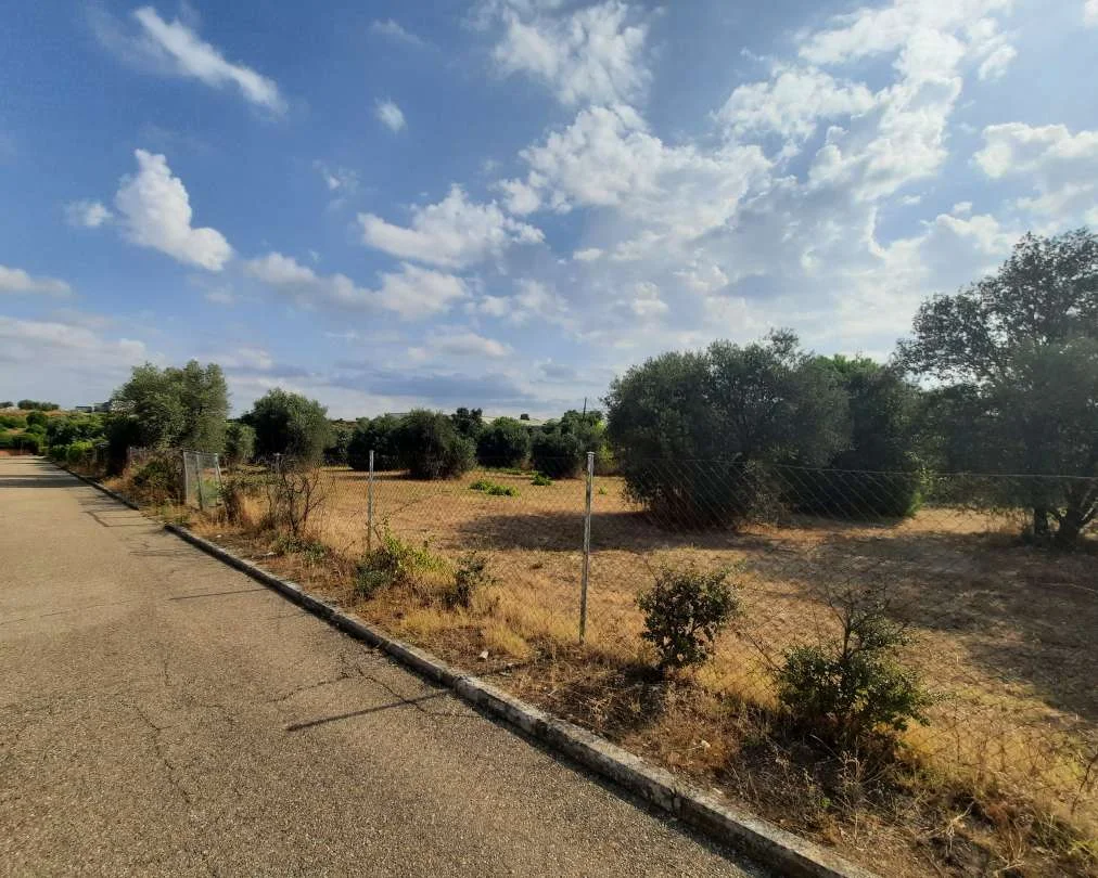 Urban commercial plot near Escalona