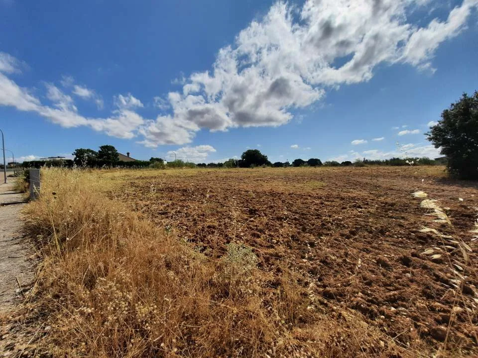 Developable Escalona plot with utilities