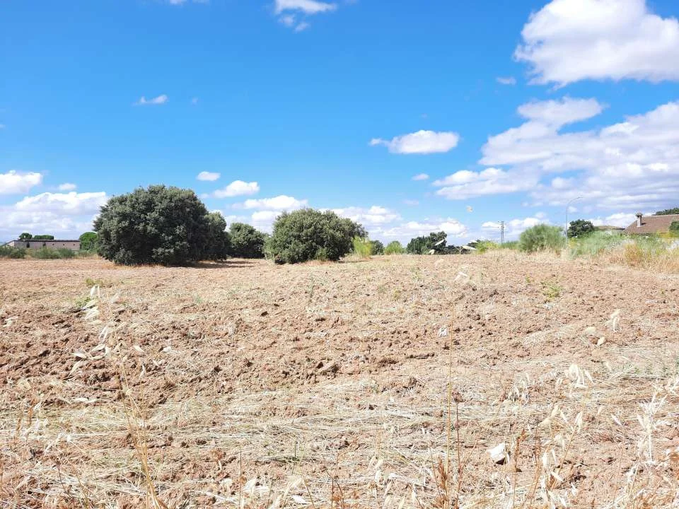 Urbanizable Escalona plot, 1,000 m²